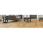 Parkett Eiche Joy