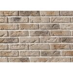 stegu CAMBRIDGE 2, Ziegelriemchen aus Beton für außen