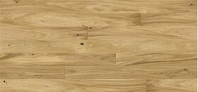 Parkett Eiche Caramel Medio