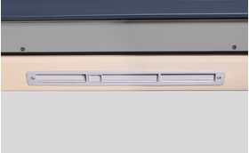FAKRO Dachfenster FPP-V MAX U41 APMX | GreenView | 3-fach Verglasung | Holz