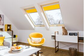 Dachfenster FAKRO FTT U8