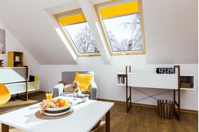 Dachfenster FAKRO FTT U6 : energieeffizientes Schwingfenster aus Holz mit 3-fach Verglasung und VSG