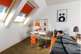 Dachfenster FAKRO FTU-V U4