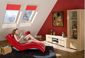 Dachfenster FAKRO FTT U6 : energieeffizientes Schwingfenster aus Holz mit 3-fach Verglasung und VSG