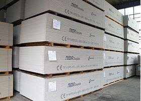 Gipskartonplatte Feuerschutz GKF 12.5 x 1200 x 2000 mm