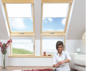 Falstore FAKRO APS am Kombifenster
