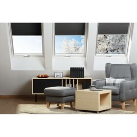 Dachfenster FAKRO FTU-V U4