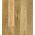 Parkett Eiche Caramel Grande